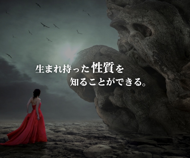 豪華4占術✨自分の人生変えたい人へトリセツ送ります 西洋占星術・四柱推命・九星気学・数秘術を使った詳細占い！ イメージ4
