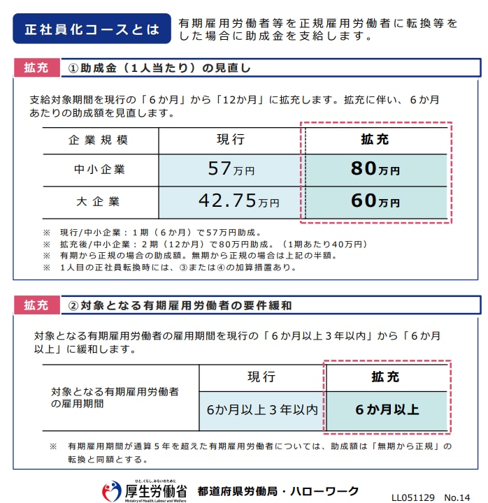 キャリアアップ助成金の計画書作成方法を教えます 専門家への依頼費にお困りの方に誰でもできる簡単作成・申請方法 イメージ2