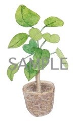 完成品・水彩イラスト描いています 受注製作ではなく出品作品のみです イメージ1