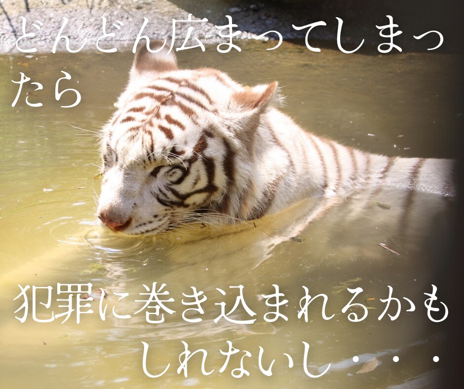 自慢話、なんでも聞きます 羨ましがられたい人、この指とまれ！ イメージ5