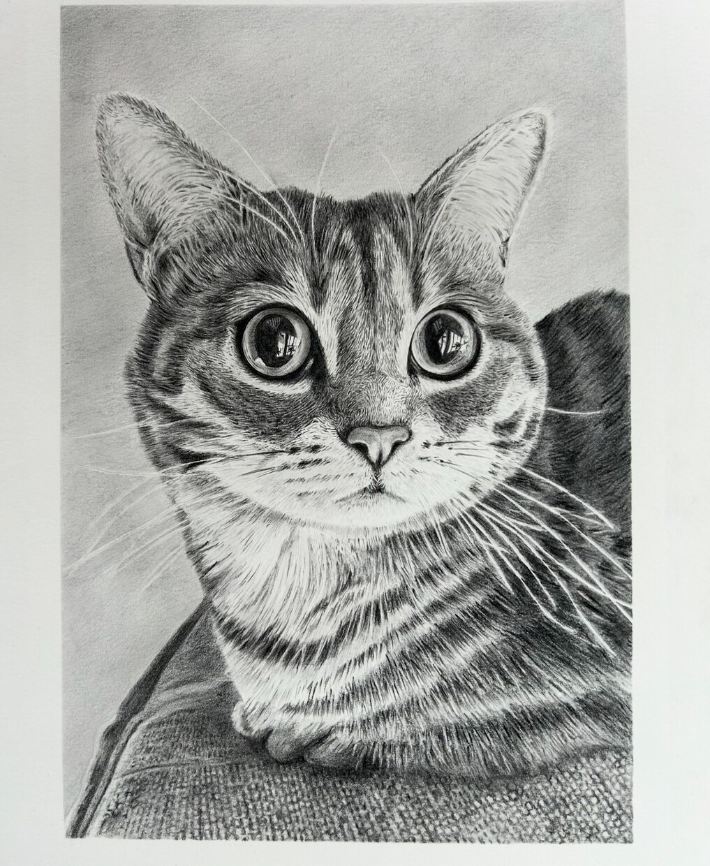 鉛筆画でペットのリアル似顔絵を手描きで作成致します 犬・猫を鉛筆で細部まで丁寧に描きます！ イメージ5