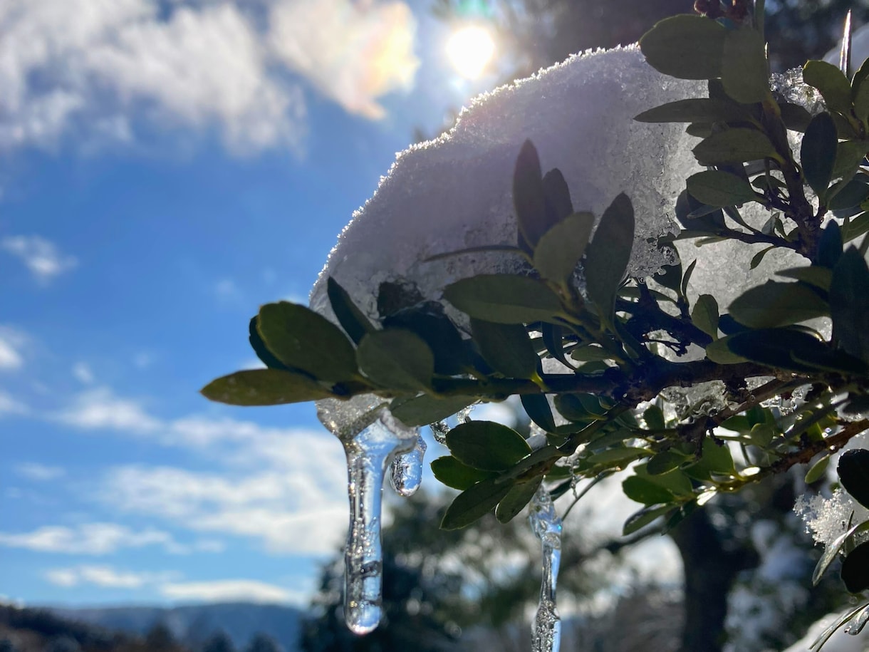 モヤモヤの気持ち、受け止めて欲しい、心の整理します 1分でも話せば変わる！ハナお母さんがお話聞きます イメージ4