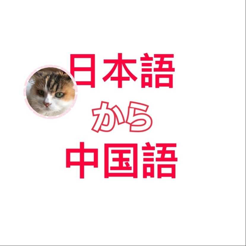 インバウンド観光向けなど！正確に中国語に翻訳します 実績多数！ややこしい表現やデタラメな翻訳にうんざりしてない？ イメージ1