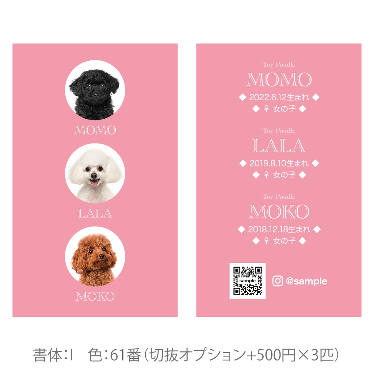3匹用　シンプルデザイン　うちの子名刺お作りします 【両面印刷100枚】送料無料　セミオーダー　QRコード入り イメージ9
