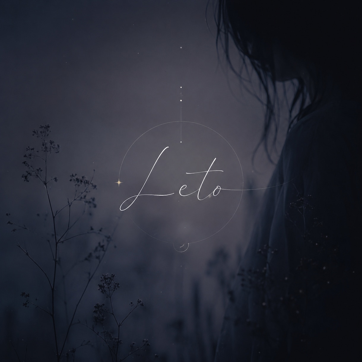 Letoのオリジナル楽曲を販売します 歌い手・VTuber向け完成済み楽曲 イメージ2