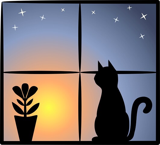寝る前に一緒に笑っちゃいます 大笑いじゃなくて小笑いのほっこりな夜のおとも♪ イメージ1