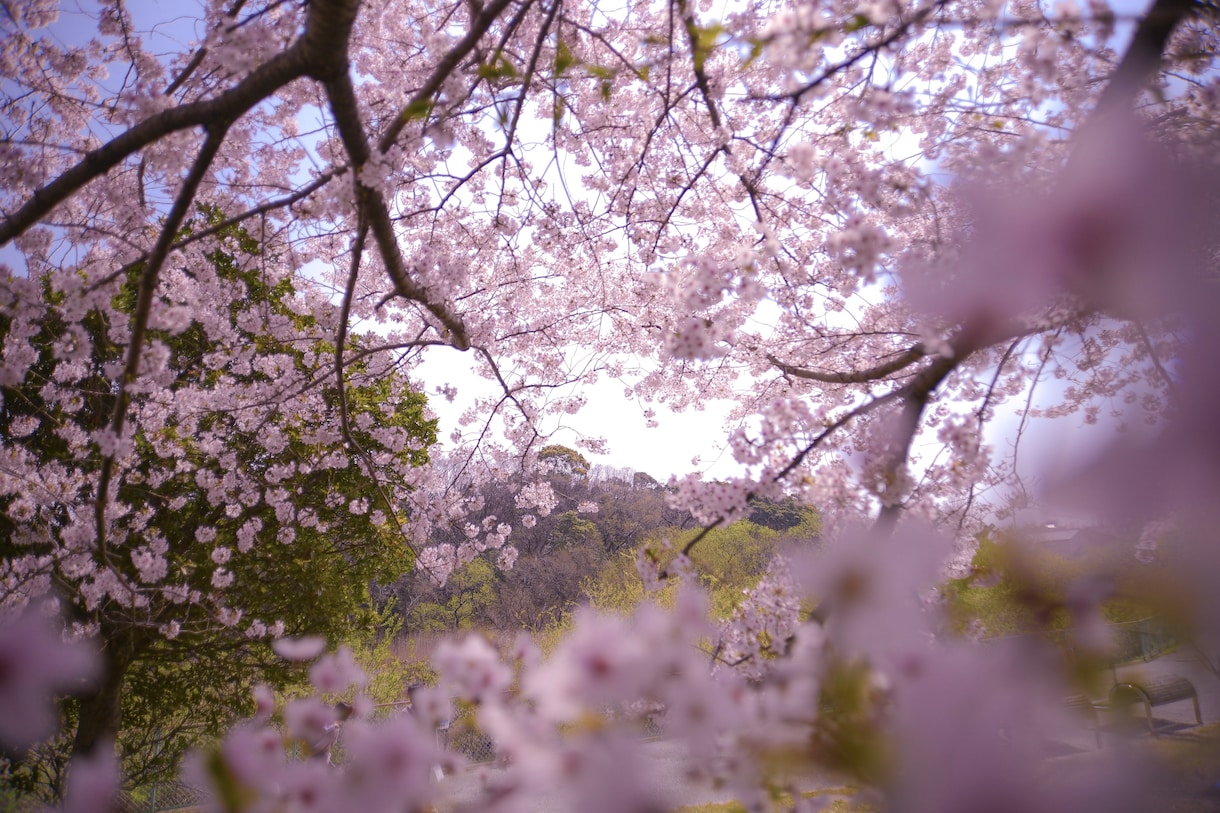 撮影代行で、素材写真など欲しい写真を撮影してきます WEB制作や広告のイメージ写真などに使用できる写真 イメージ8