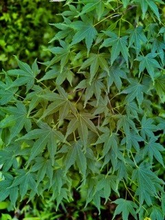 なんでもお話しお聞きします 雑談やお悩み相談、恋愛、人生、なんでもお話しください イメージ3