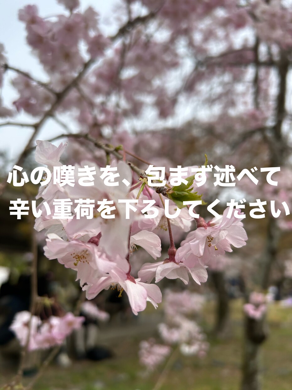 愚痴や悩み、恋愛相談、人間関係のお話お聞きます 心の声、いつでもここで。気軽に話せる安心のひととき イメージ4