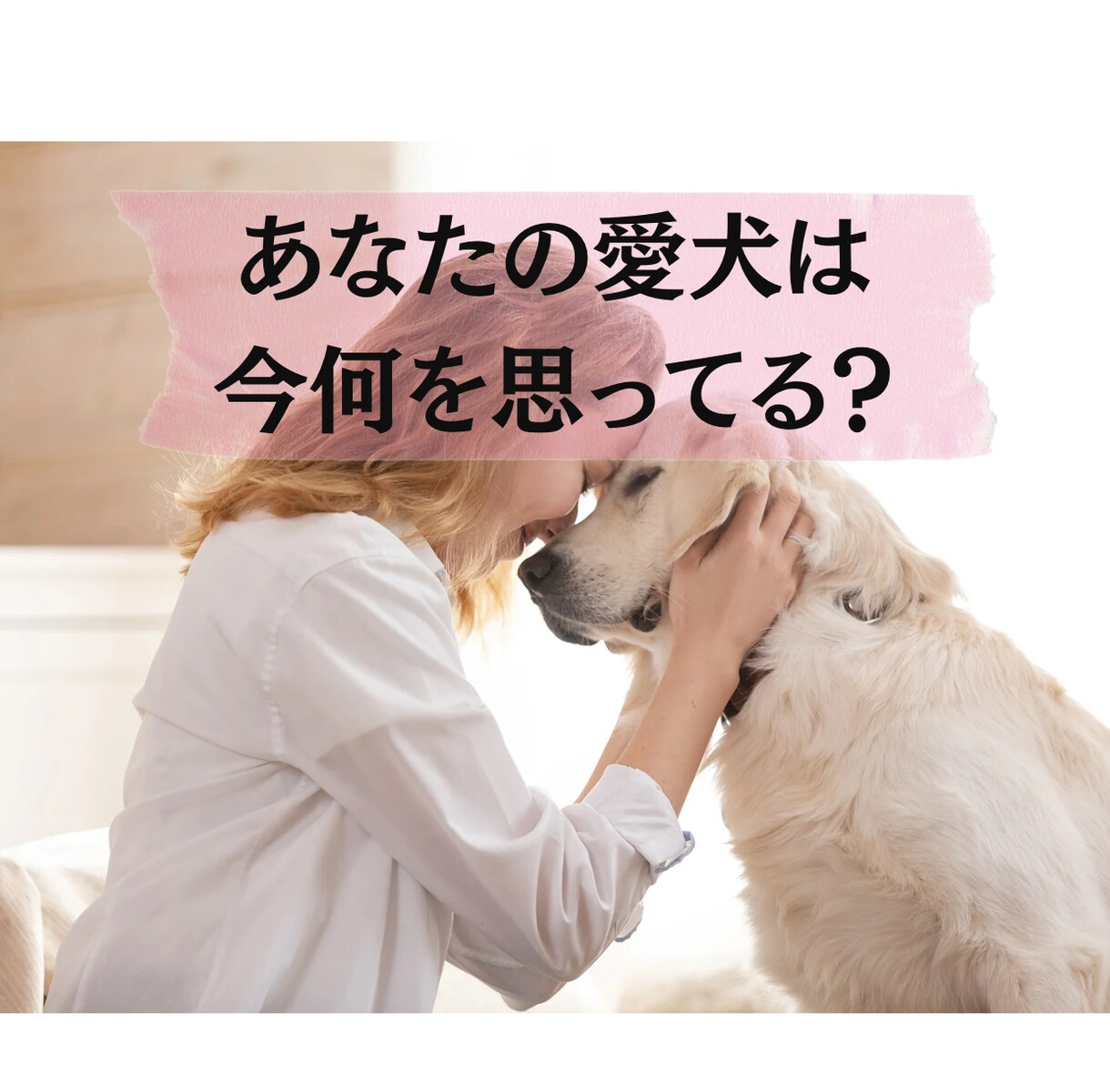 愛犬が今伝えたい「一言」を寄り添い鑑定で伝えます 言葉を持たない愛犬の、ピュアな本音を通訳します。 イメージ1
