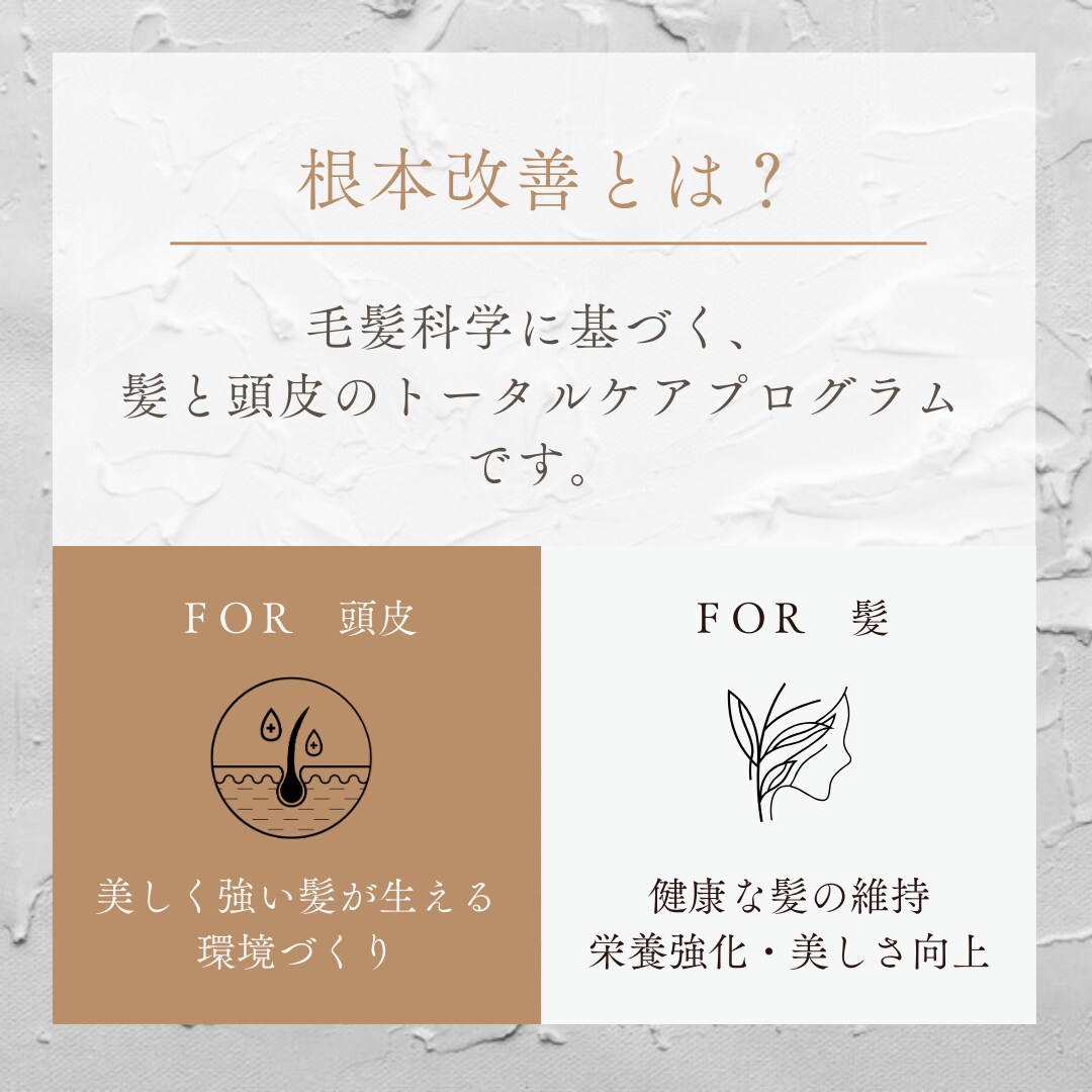 先着5名限定♪あなた専用髪改善プランをお作りします 目指す髪質に向けて、美容院と家でのケアを通しでご提案します イメージ7