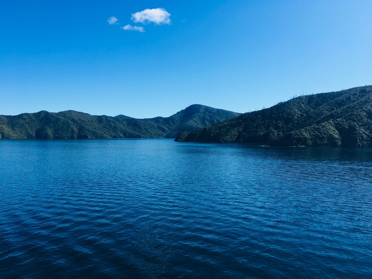 ワーホリ・旅行・海外移住相談受け付けます オーストラリア、ニュージーランドの特徴やリアルな情報提供 イメージ1