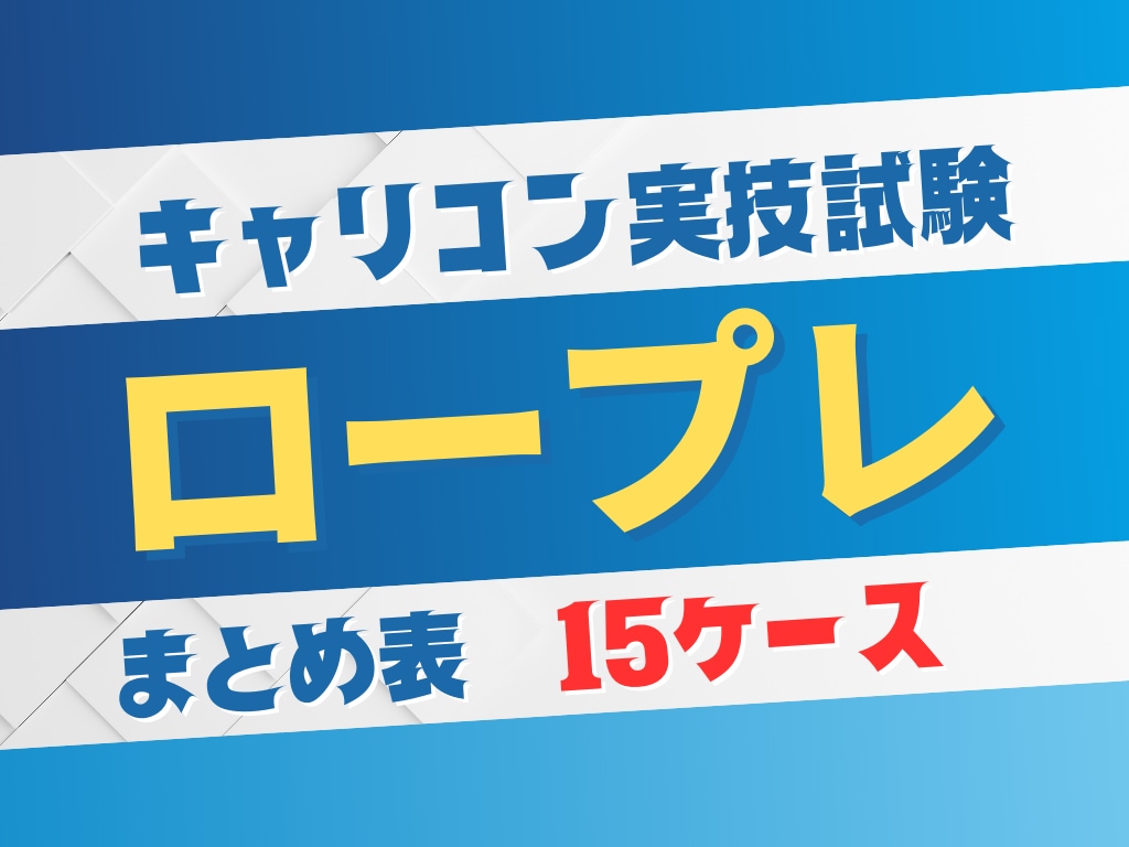 キャリコン　ロープレまとめ表15ケースを送ります 一人練習もできる独自パターン勉強法★勉強が進んでいない人★ イメージ1