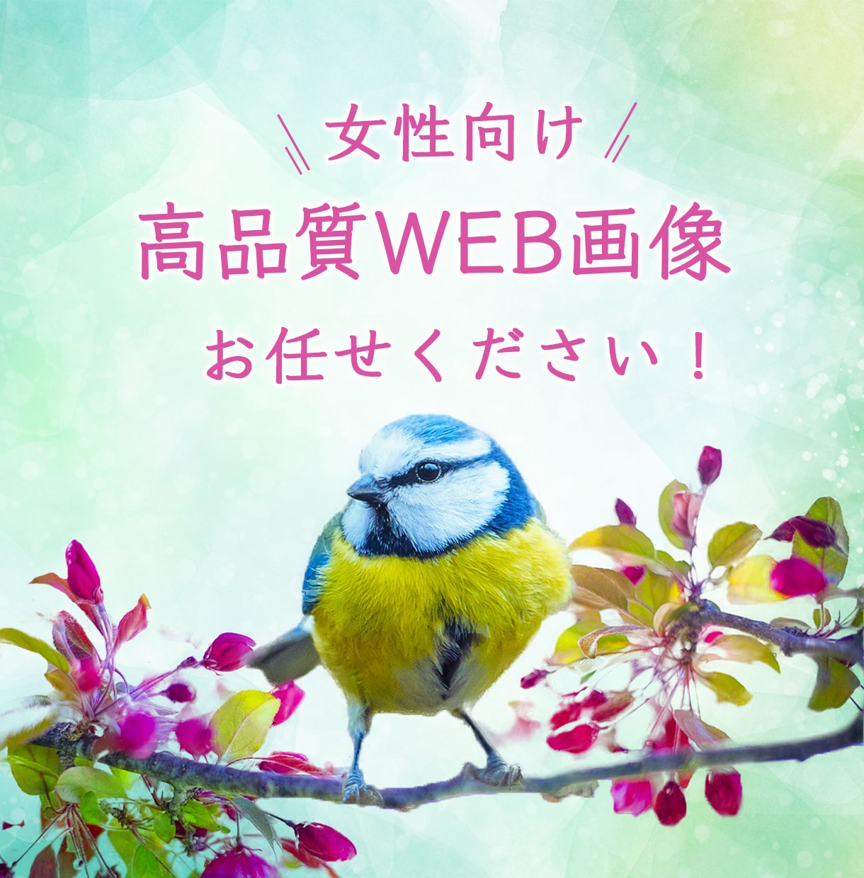 ターゲットに合わせた、各種WEBデザイン作成します ママ目線・女性ターゲットのデザインお任せください！ イメージ1