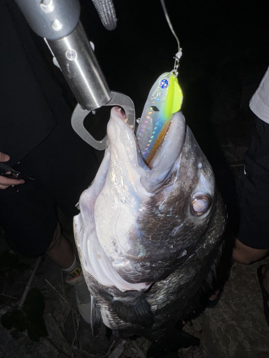 釣りを始めたい方に0から丁寧にアドバイスします 釣りで必要な道具の購入や釣り方を0から丁寧にサポート！ イメージ1