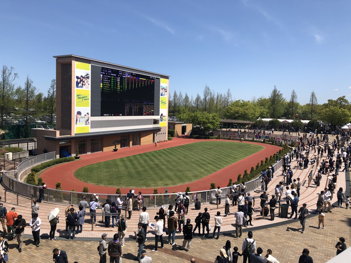 ３往復⭐️競馬好きさんとゆるく交換日記します 交換日記のように競馬愛を語りましょう イメージ7