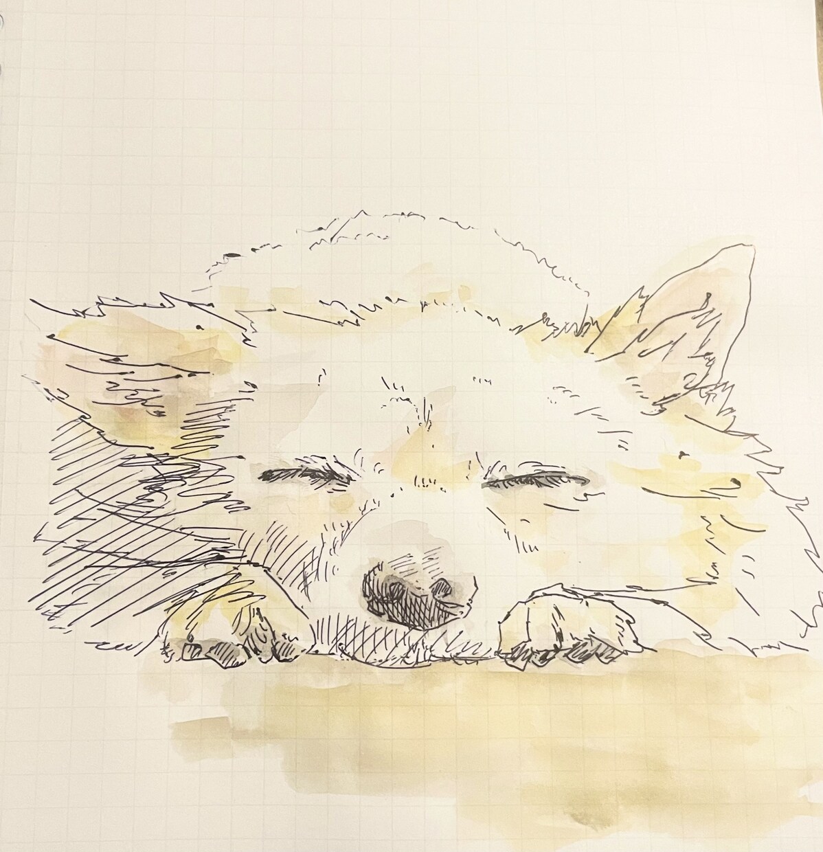 思い出をイラストにしませんか？イラスト描きます アナログでイラストを描きます！好きなものをかわいく！ イメージ2