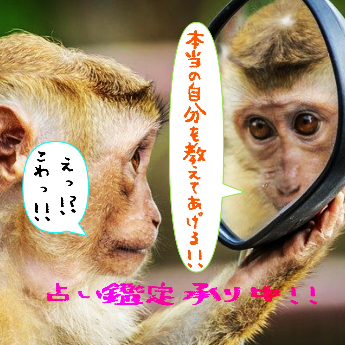 電話5分OK！霊感タロット✅お悩み即座に解消します 楽しくお話しながら占い鑑定！温かく優しい雰囲気で迎えます☆ イメージ8