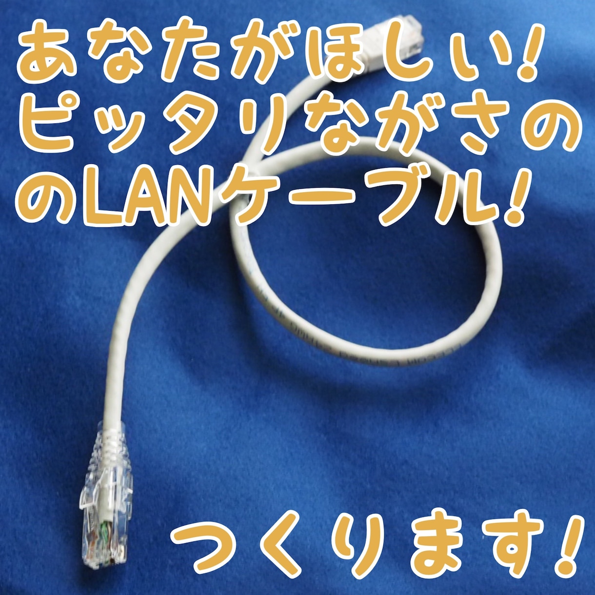 💬ココナラ｜あなたにピッタリ長さのLANケーブル5本作ります   由奈月栞ゆなつきん  
                –
             …