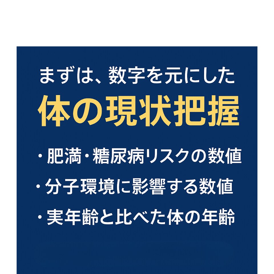 清潔感の低下を数値で見抜きます ぽっこり腹・体臭・薄毛の原因を読み解く イメージ5