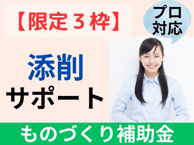 限定３枠∥ものづくり補助金を診断士が【添削】します 中小企業診断士対応／事務局の専門家経験あり／支援実績多数 イメージ1