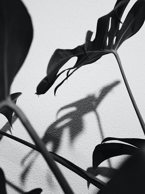 住宅の間取り診断（セカンドオピニオン）を致します 建築士が間取りをチェックしアドバイス致します。 イメージ1