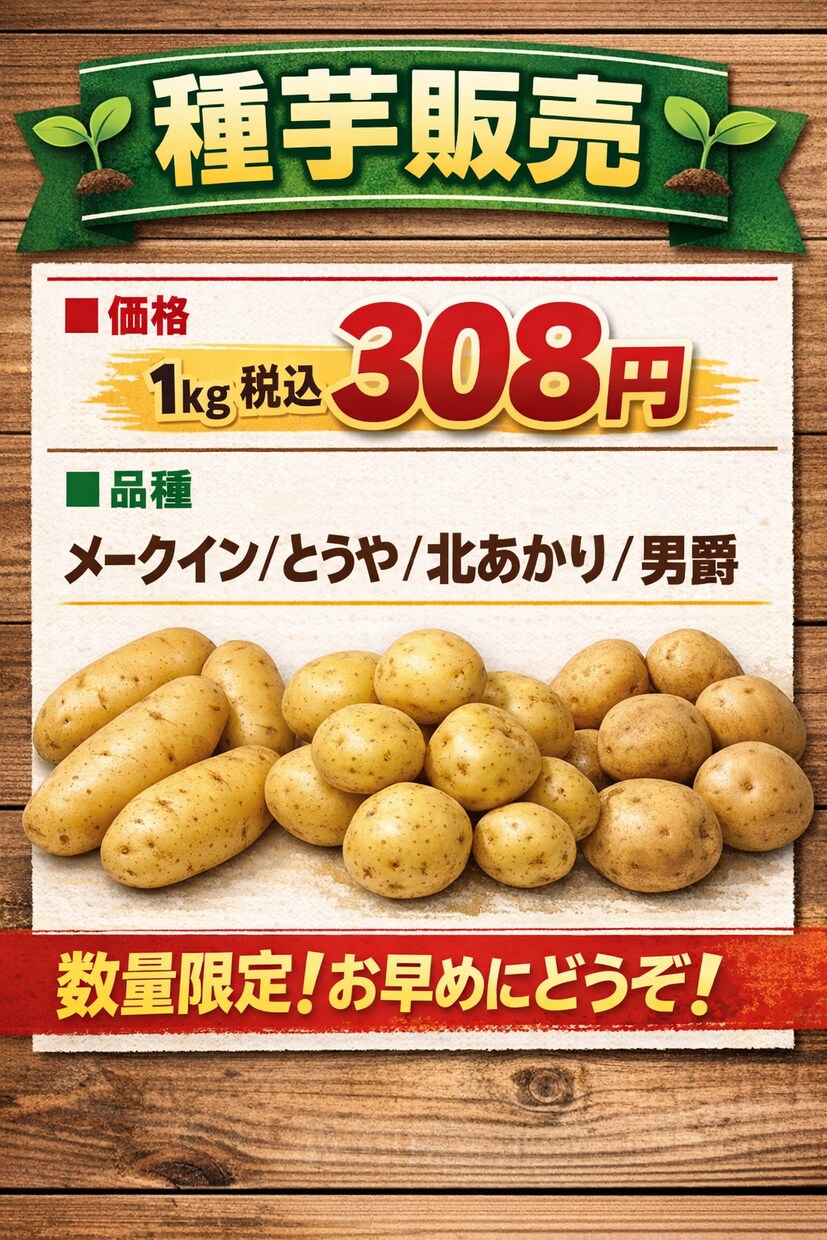 売れるチラシを作成してます ・直売所の売上を上げたい・安くても効果のあるチラシが欲しい イメージ2