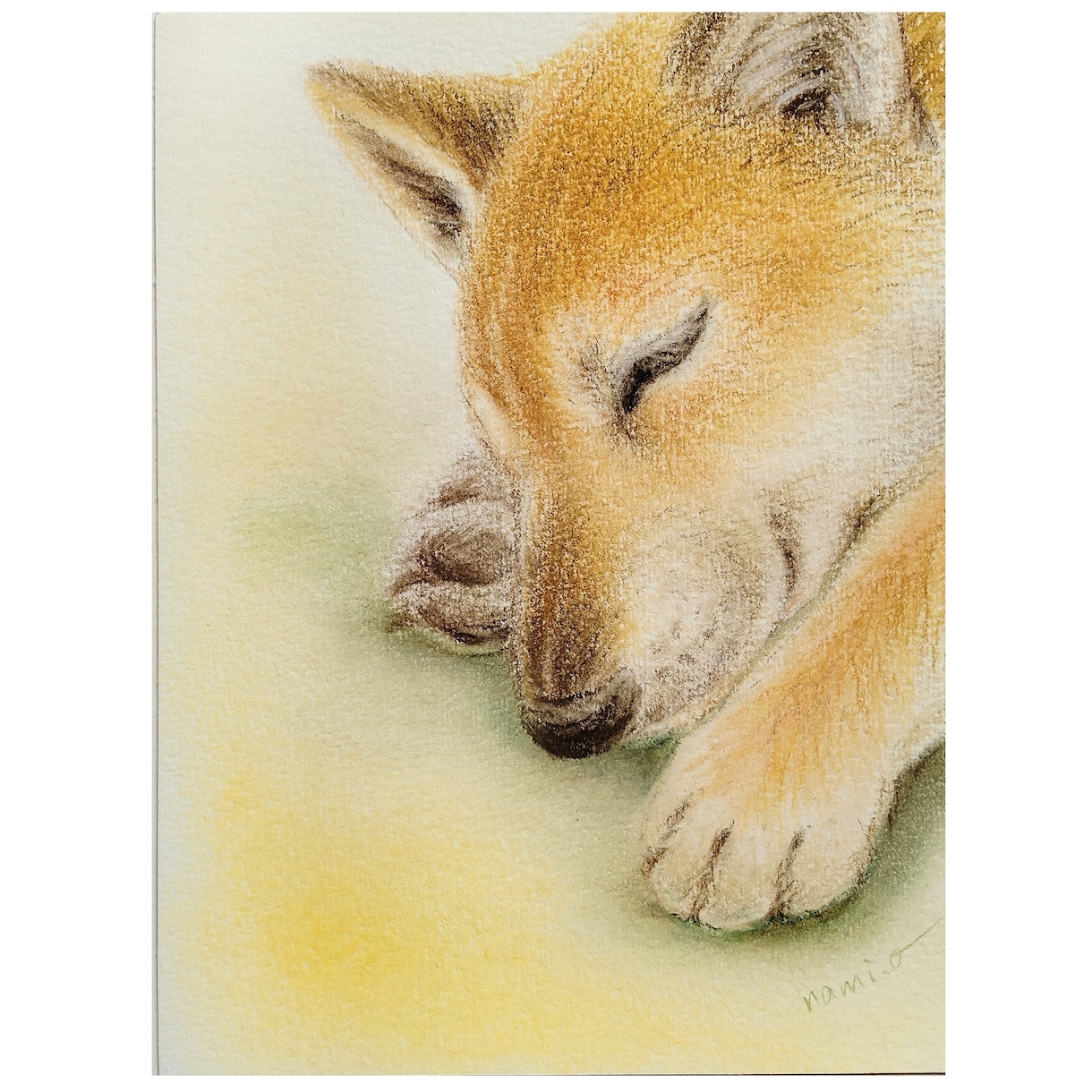 ほっこり暖かいうちの子似顔絵　パステルで描きます 写真には残らない、そのコらしさを一枚の絵に イメージ2