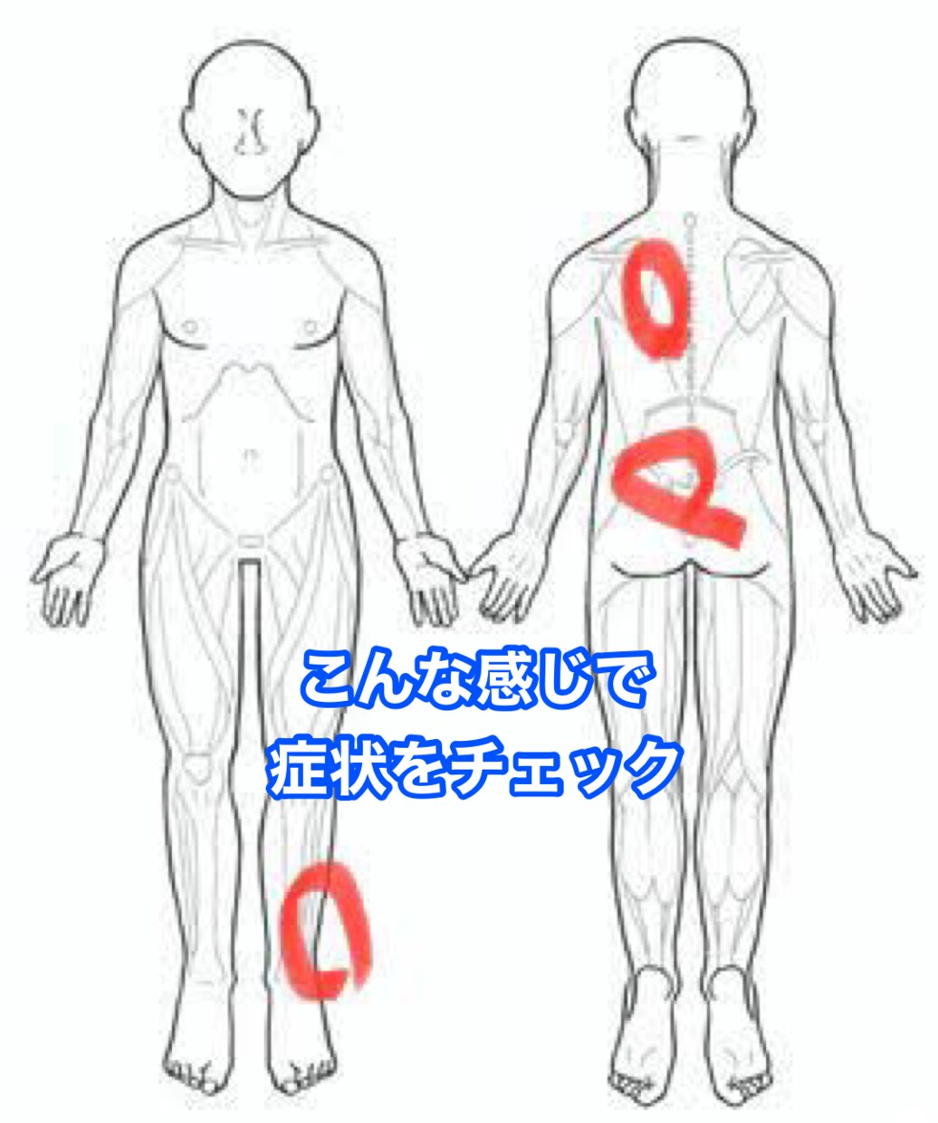 ツボレシピをオーダーメイドで提供します セルフケアで、効果が期待できるツボを症状に合わせてチョイス イメージ2