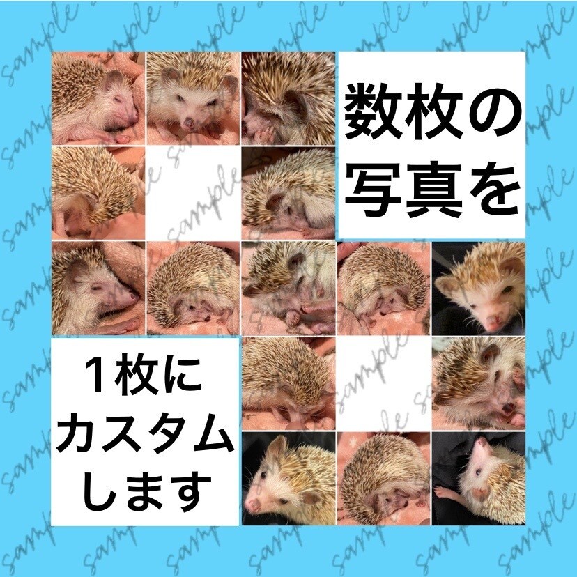 複数の写真を１枚にまとめてレイアウトします 日常／商品紹介／告知／推し活など用途に合わせ幅広く対応します イメージ1