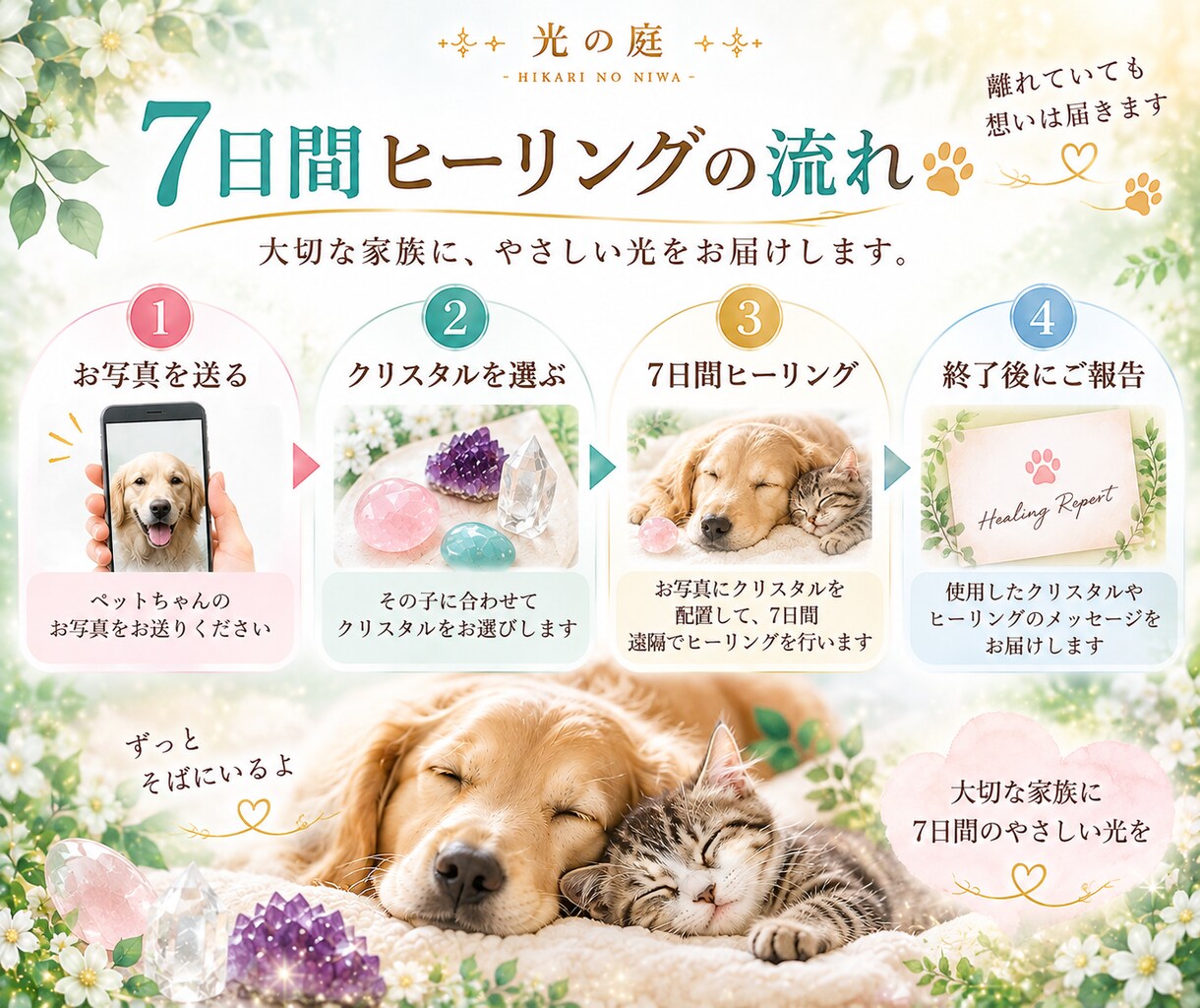 大切なペットを7日間クリスタルの光で癒します その子に合わせたクリスタルを選び、7日間やさしく寄り添います イメージ3