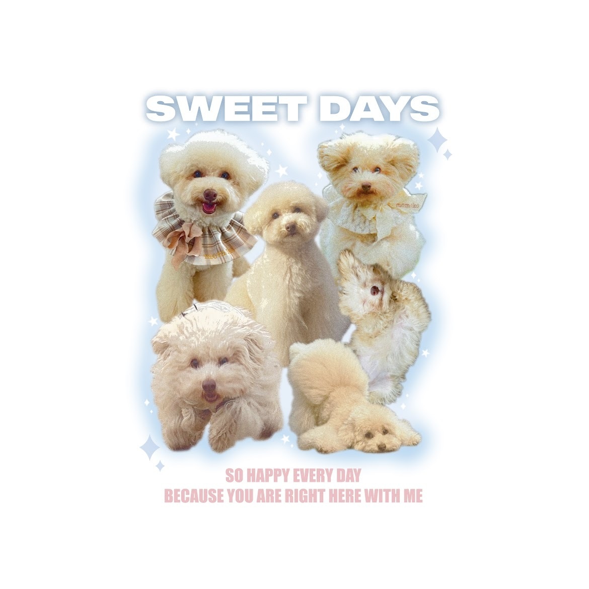 オリジナルデザイン作成いたします 大切なペットや人物のオリジナルデザインを作成いたします イメージ1