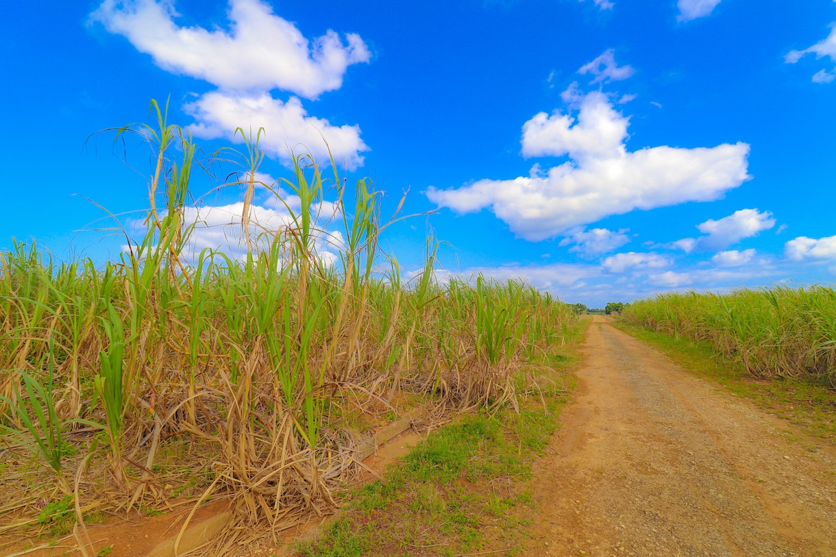 旅行計画を作成致します あなたが行きたい所は何処ですか？是非お手伝いさせてください！ イメージ3