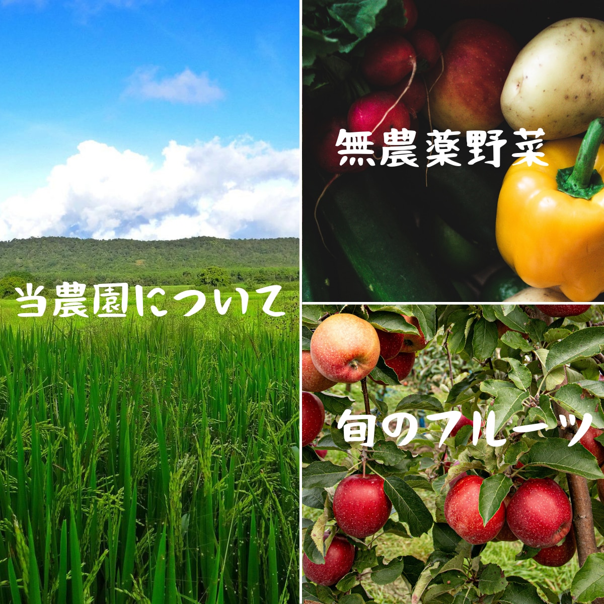 集客を自動化！LINE公式アカウント構築します 「LINE公式やってみたいけど難しそう、面倒、時間がない」 イメージ4