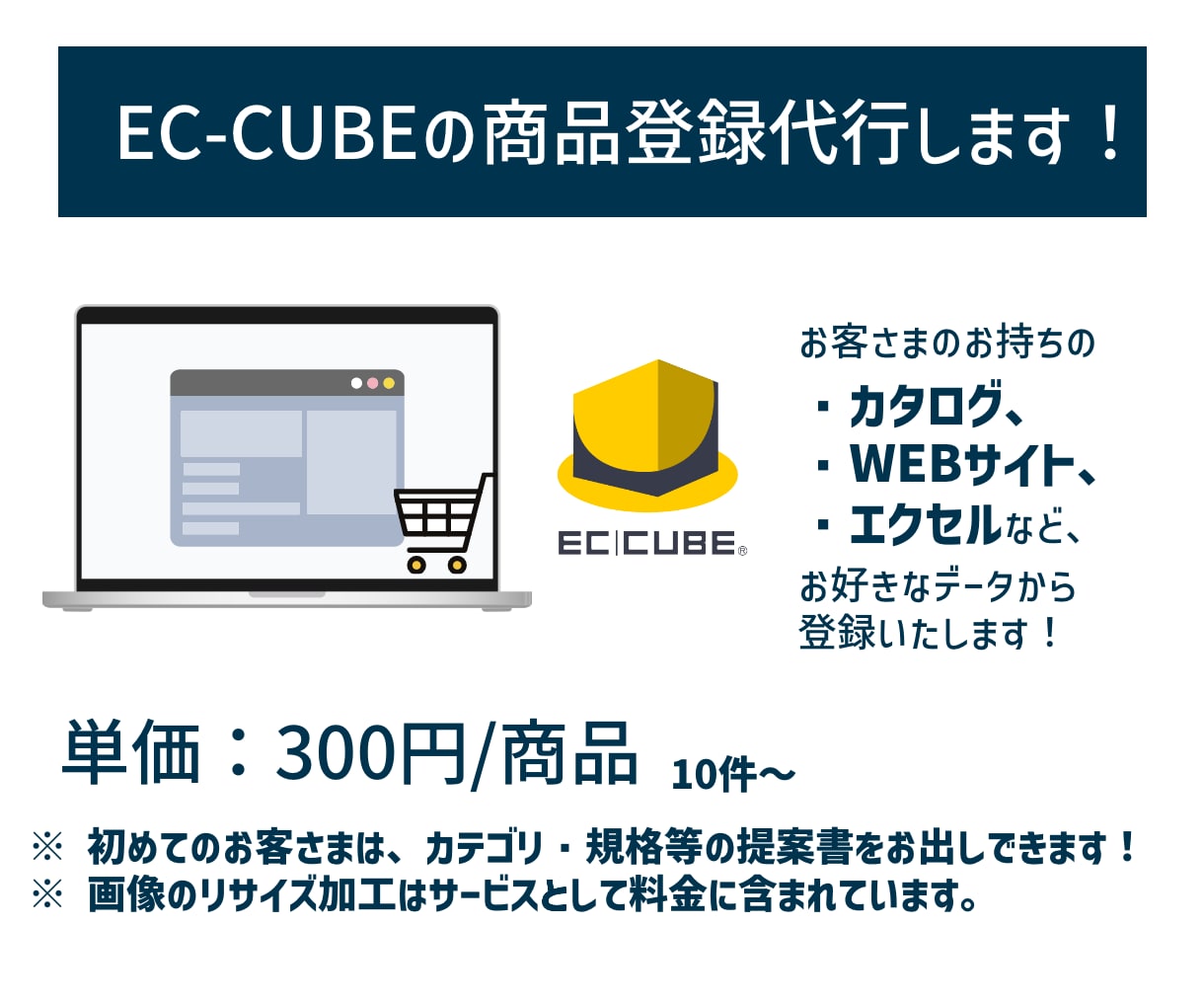 EC-CUBEの商品出品登録代行いたします 制作経験10年以上、プロの視点からEC−CUBEの商品登録 イメージ1