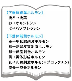 国試前の不安と焦りの対処法教えます 不安や焦りで勉強が手につかない！！そんな方にオススメ脱出法 イメージ1