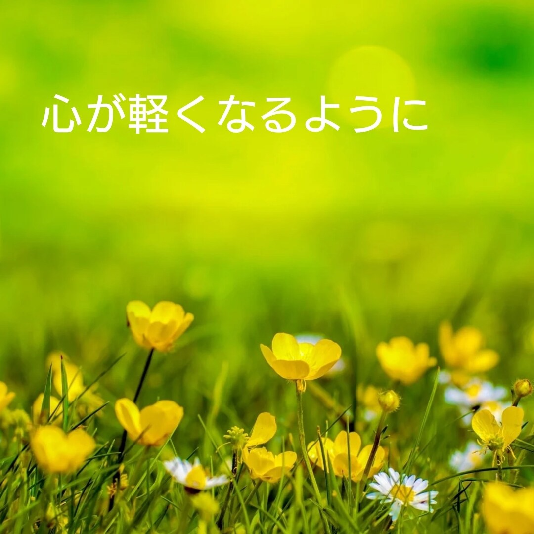 お話しませんか。気持ちが楽になるようにお話聞きます 自己肯定感の向上、トラウマ、障害について、HSP イメージ6