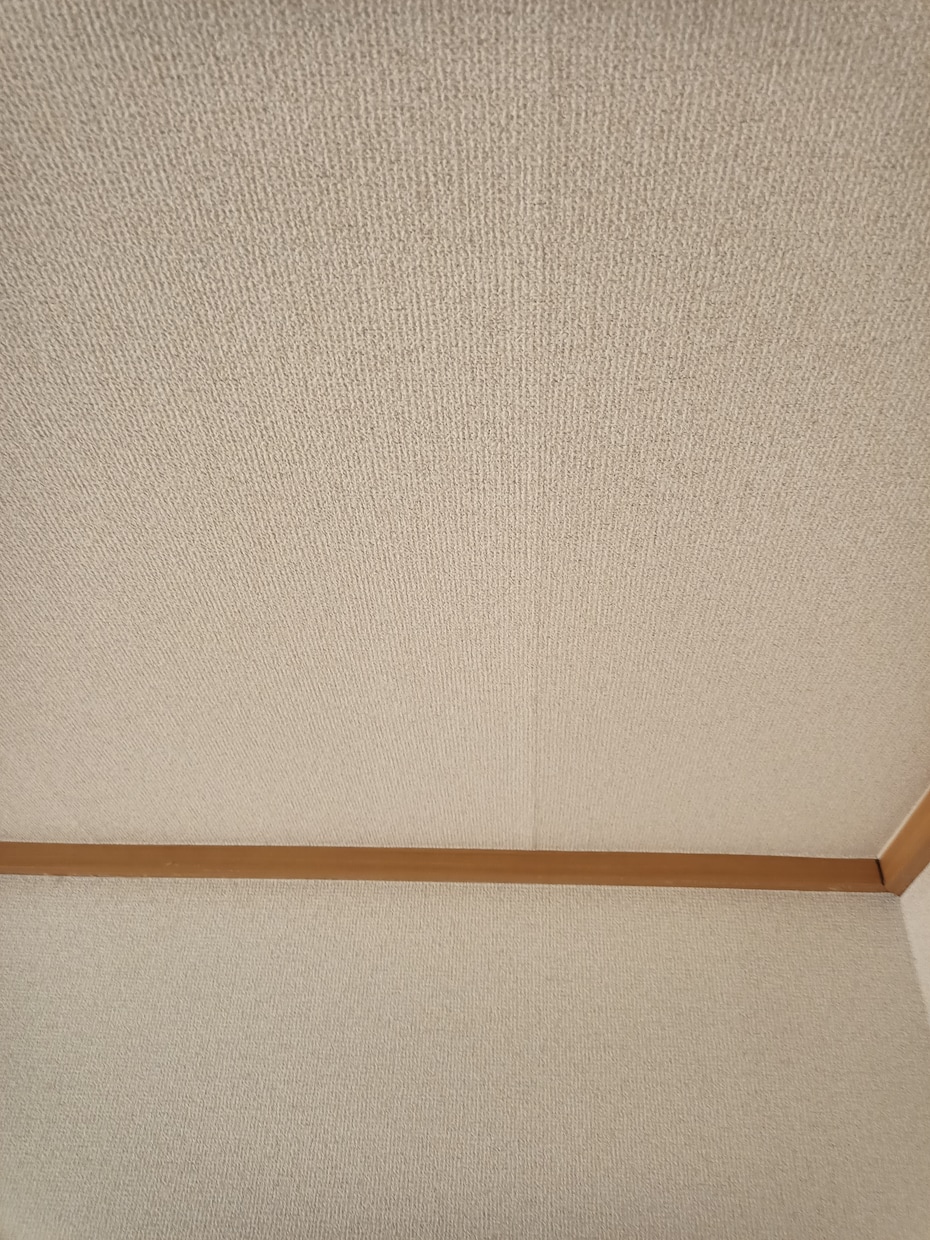 新生活応援！！賃貸物件の状態を簡単にチェックします トラブルを避けたいあなたに！！建築施工のプロが診断します イメージ2