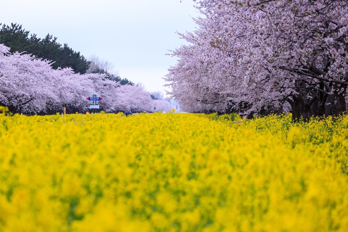 人知れず頑張っているあなたのことを褒めます 誰も認めてくれない！そんな不満をぶつけて下さい。 イメージ7
