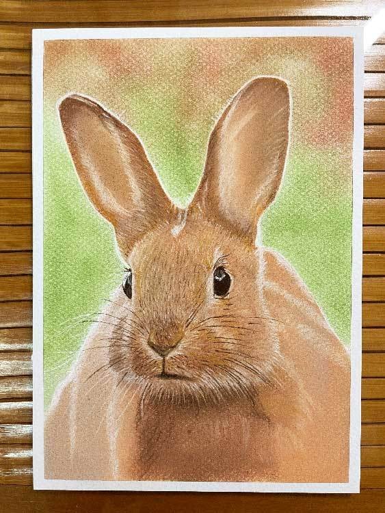 猫、犬など動物の描き方を23動画＋特典で納品します パステルでリアルな動物を描く方法をプロの講師が徹底解説！！ イメージ2