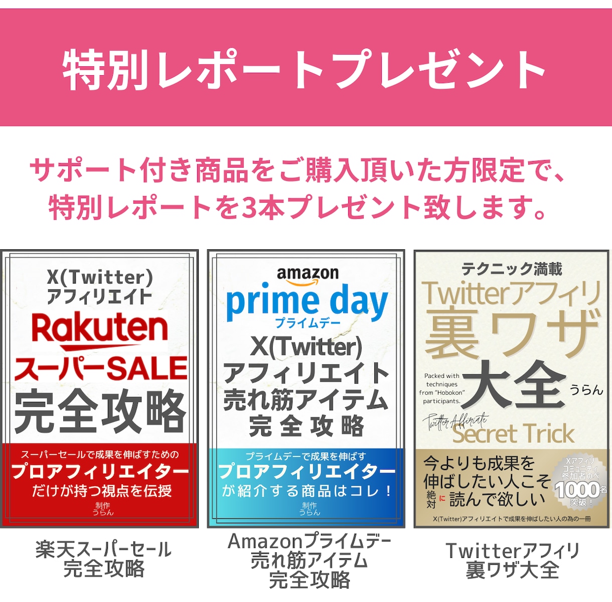副業初心者専門！シンプル手法で初成果を上げさせます SNSを使った在宅副業を1ヶ月間徹底サポートで伝授します イメージ8