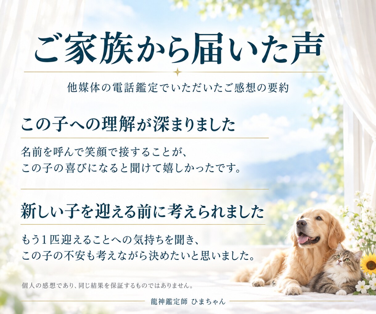 ペットの気持ちと仕草の理由を霊視でお伝えします 今いる子も旅立った子も、受け取った想いを丁寧にお伝えします イメージ4