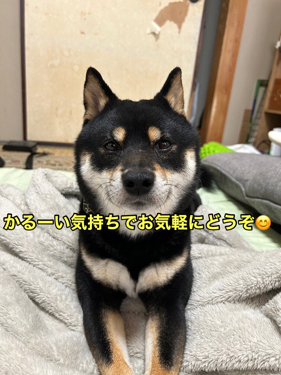悩み、恋愛、雑談など、関西住みパパがお聞きします お試しでも大丈夫です！なんでもお気軽にお願いします！ イメージ2