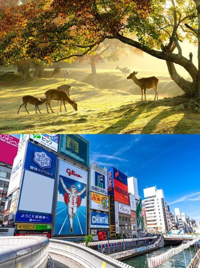 大阪・奈良　友達目線でスナップ写真を撮影します あなたのスマホであなたご自身を自然な印象で撮影します イメージ1