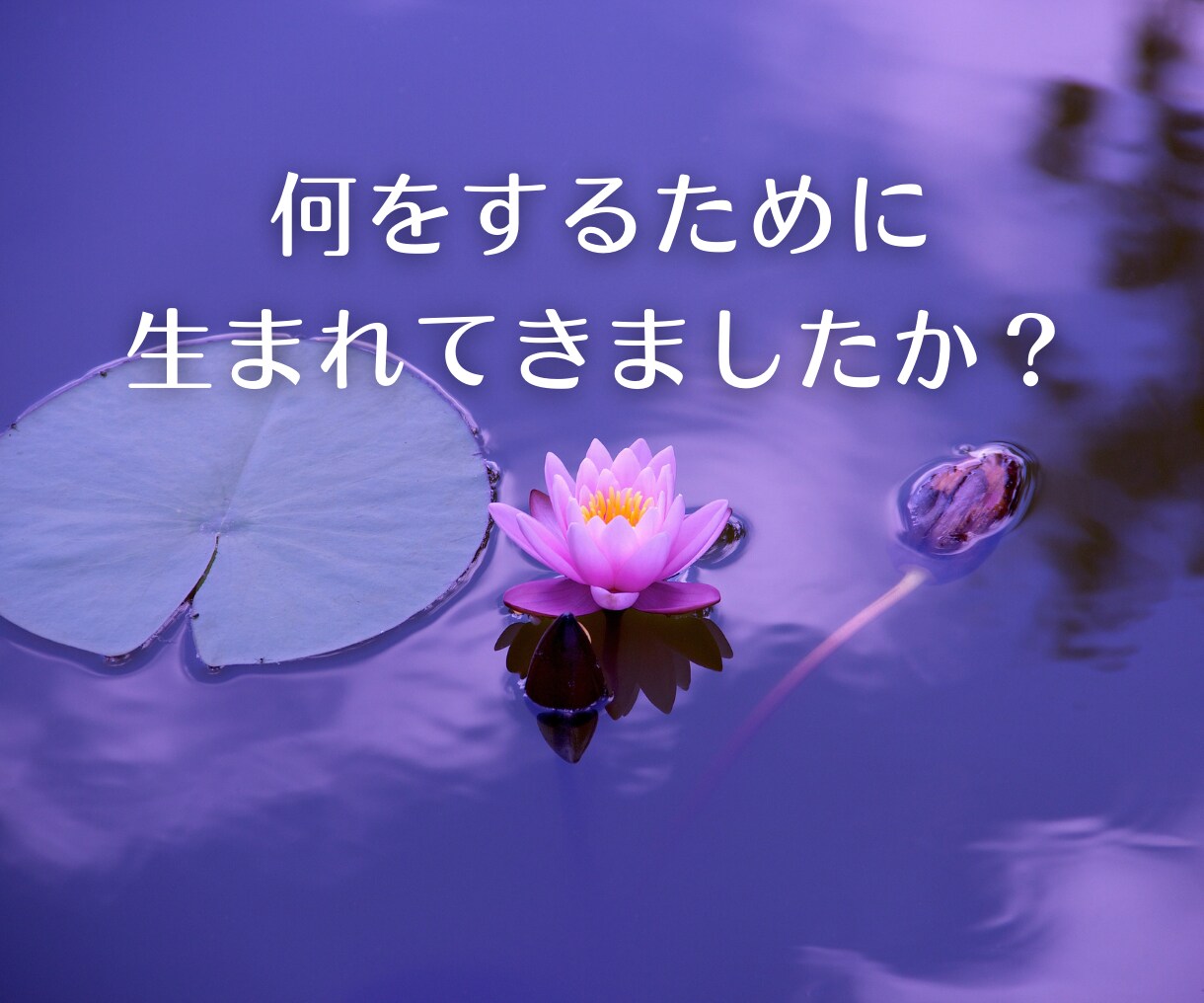 ズバリ！あなたの人生サイクルと天職をお伝えします チャネリングで才能開花★もう進む道を迷わない人生の地図 イメージ5