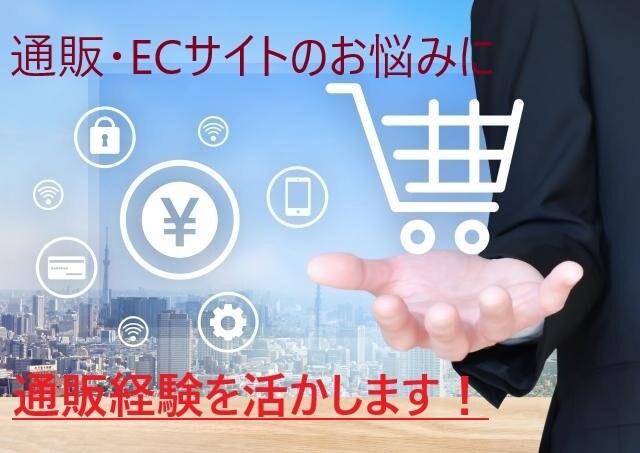 実績600超☆通販ECサイト販売の悩み壁打ちします 通販ノウハウを活かして売上アップや集客アップをサポートします イメージ4