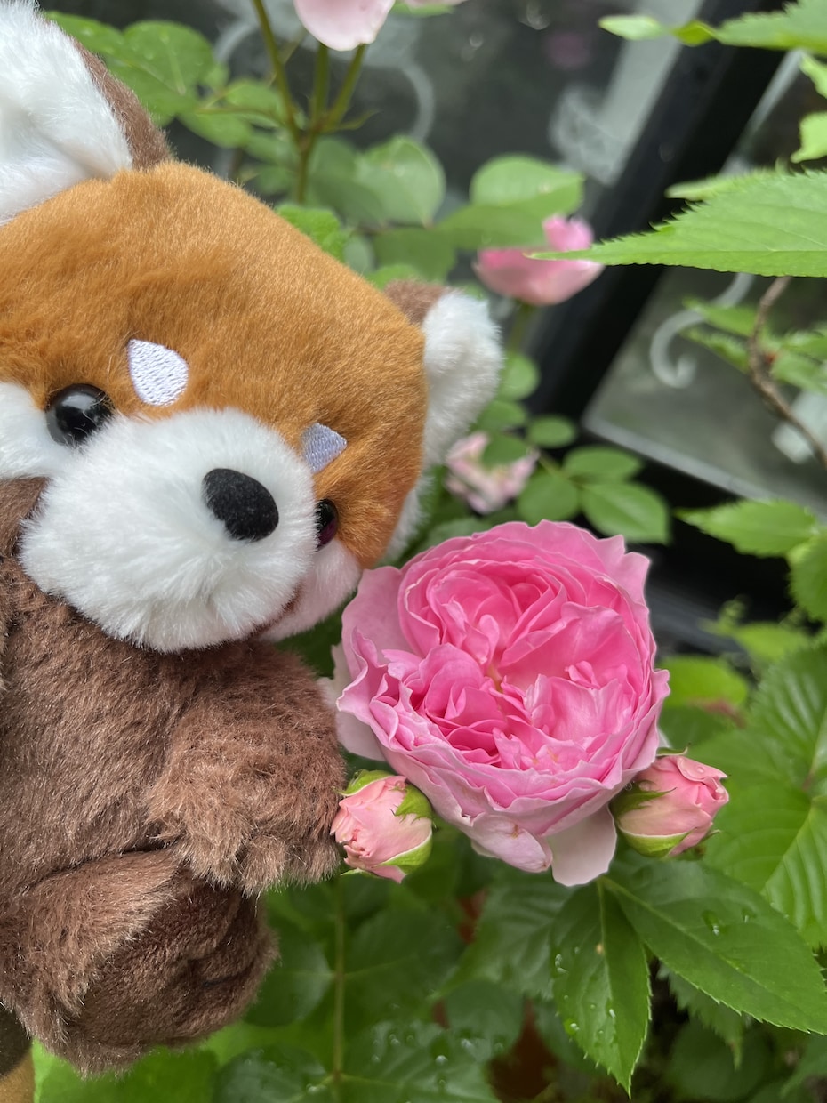 幸せに導くタロットをします 深い苦しみを抱えた方にタロットを通じて前を向く勇気を与えます イメージ1
