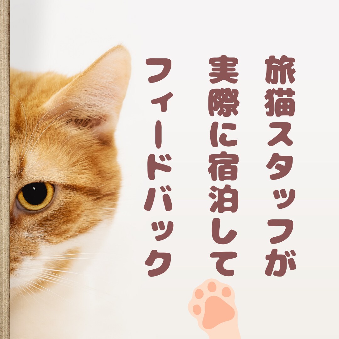 アワード受賞経験者が覆面宿泊！改善点レポートします 宿の魅力を最大化しませんか？クチコミ点数UPしたい方へ イメージ4