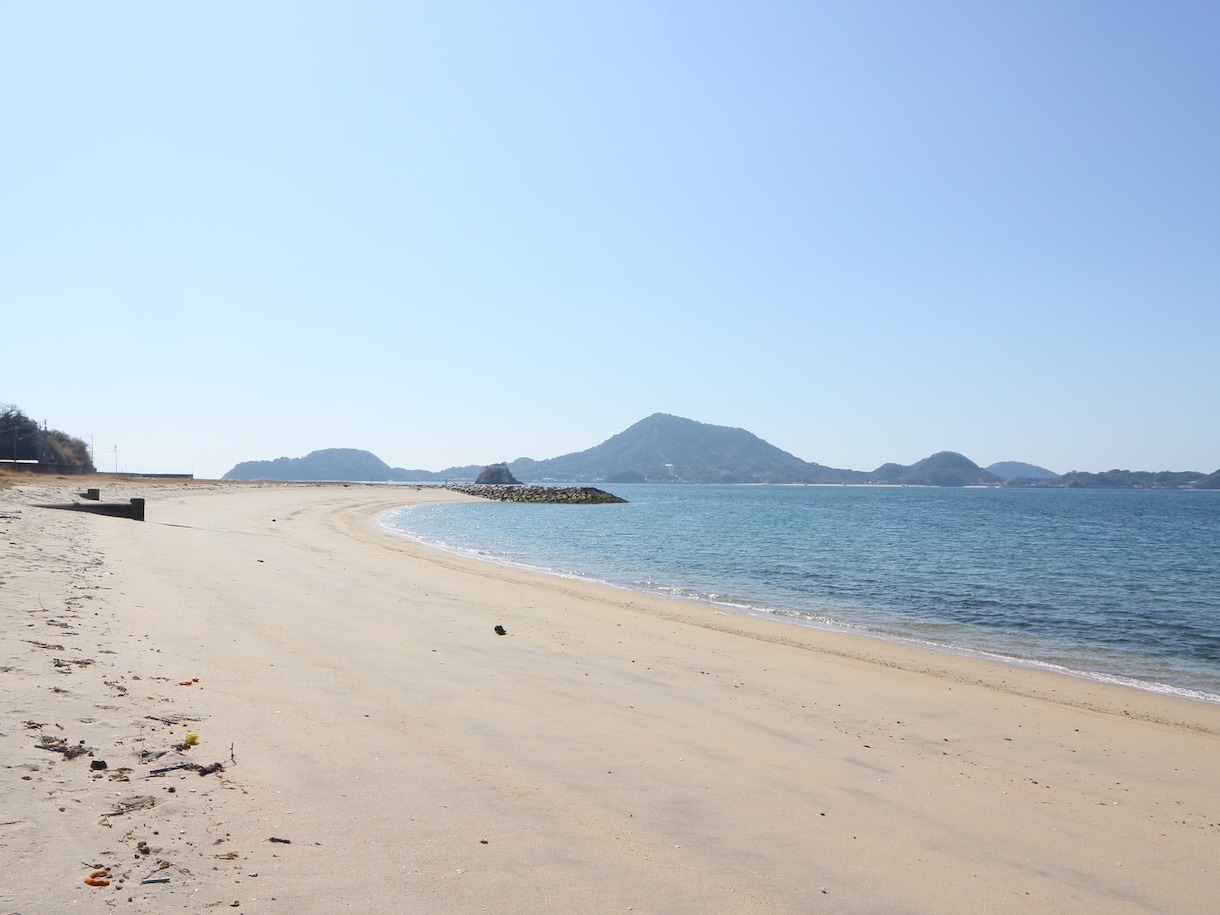 あなたの大切なペットの気持ちを鑑定します ペットの気持ちを【霊視・タロット】で鑑定し悩みを解決します。 イメージ10