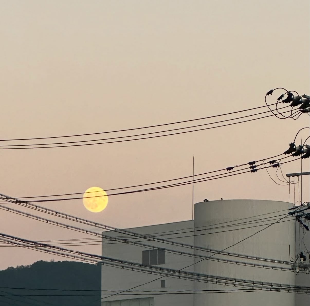 雰囲気のある風景写真素材を提供します SNSやWebに使いやすい写真素材です イメージ1
